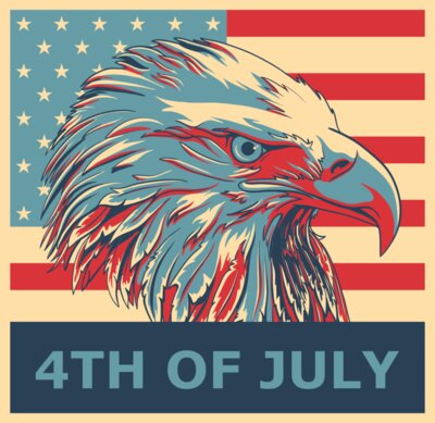 4th of July   Bald Eagle