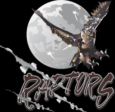 Raptor logo no contour